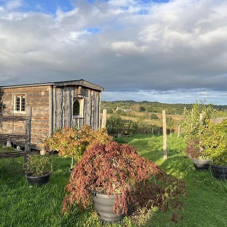 Luxury Shepherd'S Hut Style Cabin With Views Villa Hereford Exterior photo