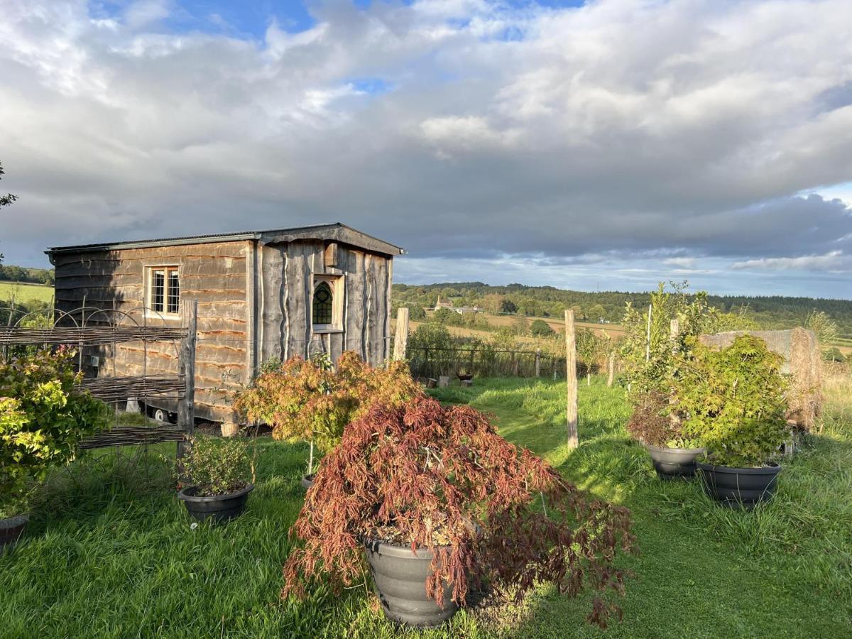 Luxury Shepherd'S Hut Style Cabin With Views Villa Hereford Exterior photo